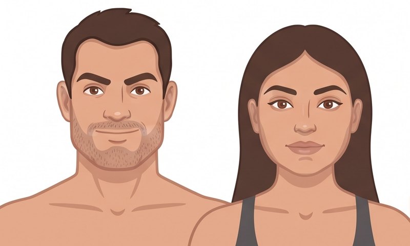 Ilustración del rostro sanguíneo: hombre y mujer de rostro cuadrado, mandíbula ancha y expresión abierta