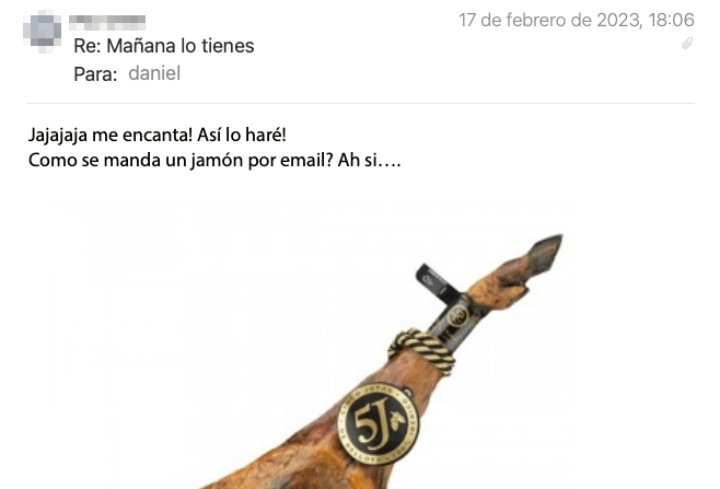 Email de un lector de la newsletter: «¡Jajaja, me encanta! Así lo haré. ¿Cómo se manda un jamón por email? (con la foto de un jamón)»